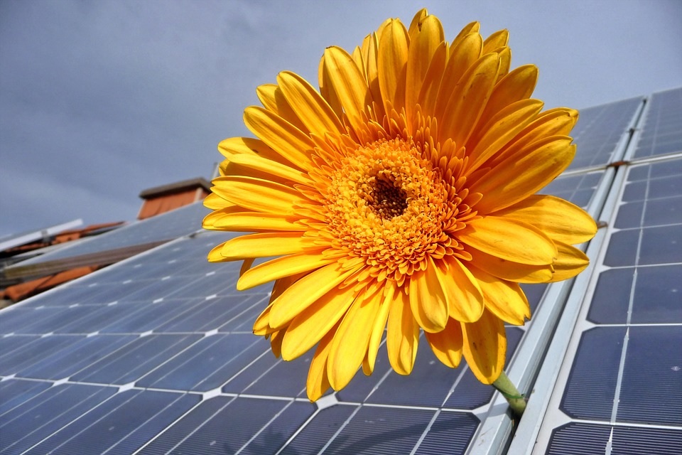 Photovoltaïque : Un nouveau service d'accompagnement aux démarches administratives
